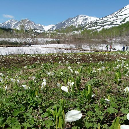 Anri Vila Hakuba Exterior foto