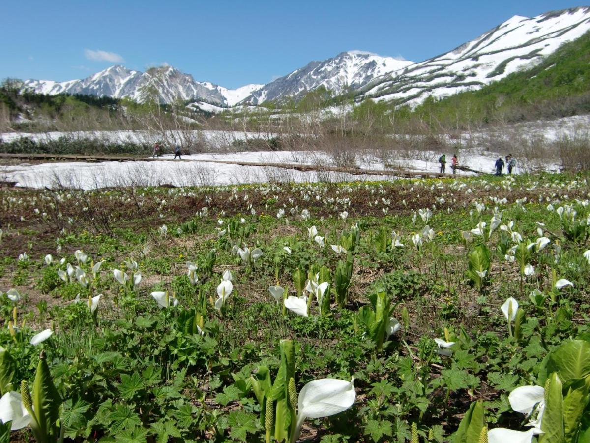 Anri Vila Hakuba Exterior foto